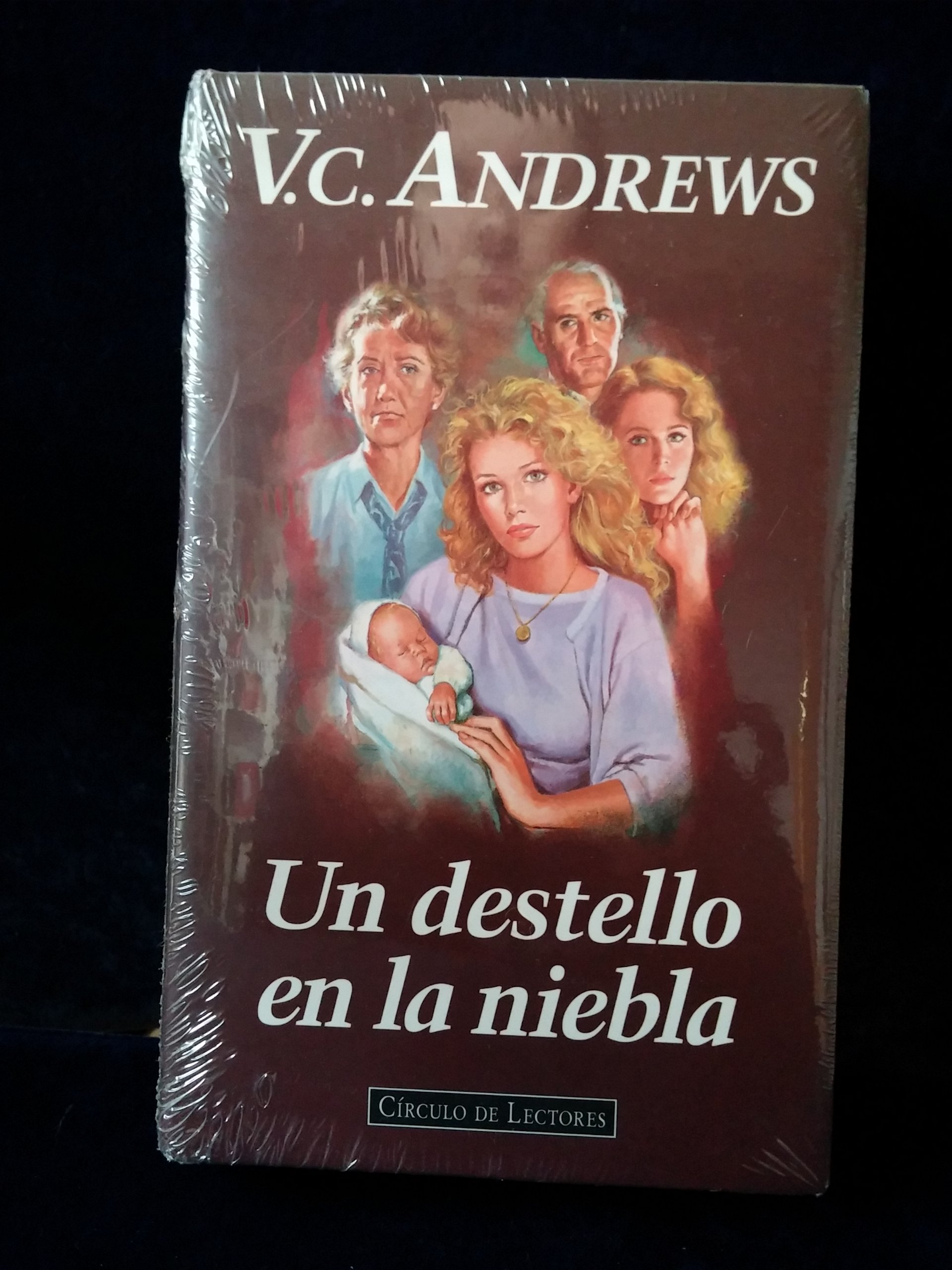 Portada de Un destello en la niebla