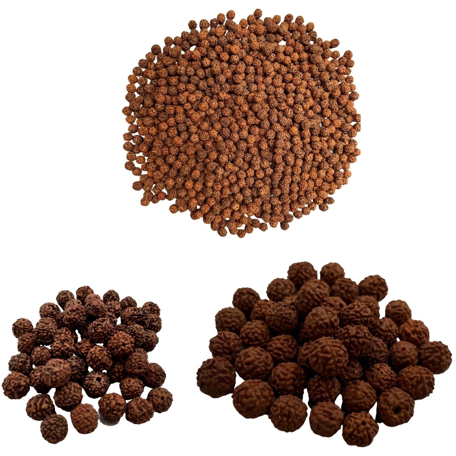 Naisha 121 Pcs Natural Rudraksh Loose Rudraksha Mala Genuine Himalayan Meditation Prayer Beads 8-14mm Bodhi Beads for Jewelry Making DIY 3 Different Sizes