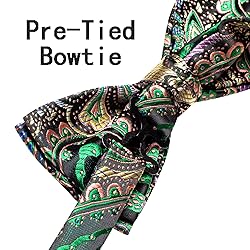 Hi-Tie Mens Suit Vest Bowtie Set Ties for Men V