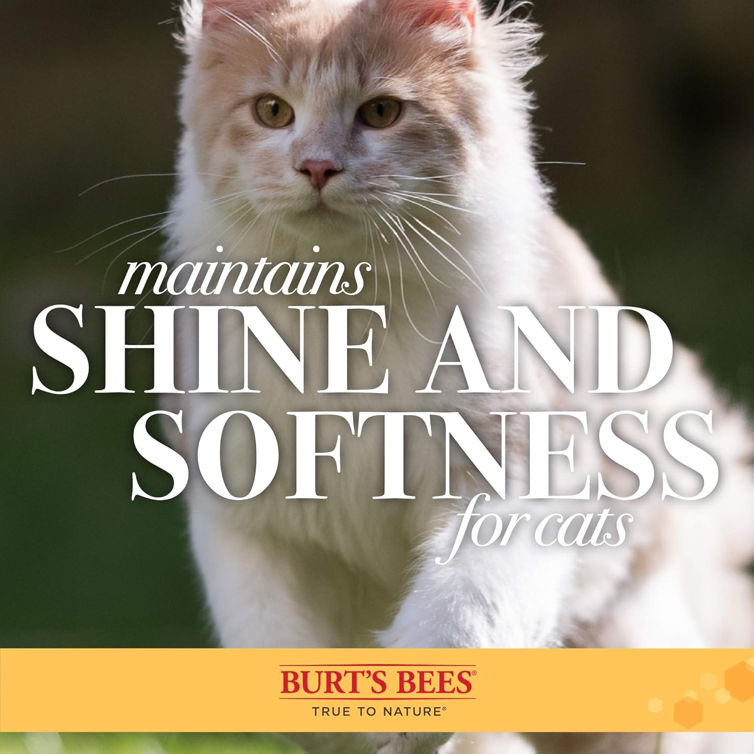 Burt's Bees for Cats 2-in-1 Double Sided Pin & Bristle Brush for Cats | One Side of Cat Brush Removes Loose Fur and Prevents Matting | Cat Brush is Ideal for Daily Grooming : Pet Supplies