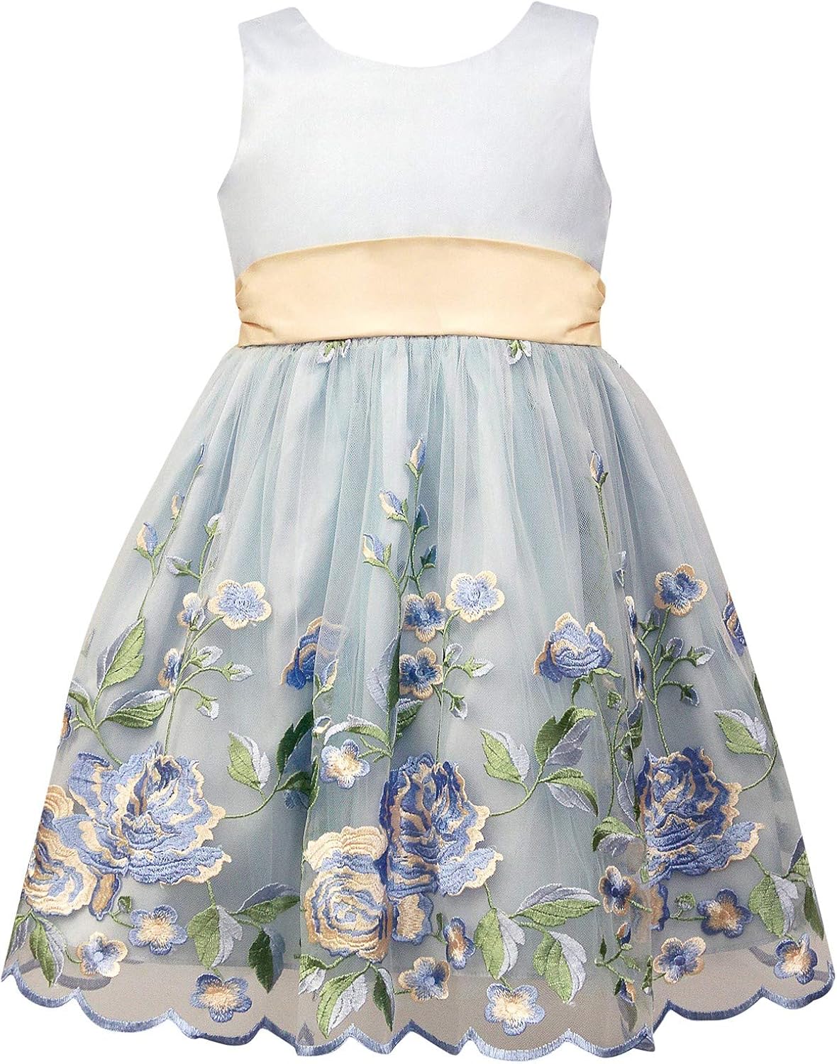 blue floral embroidered dress