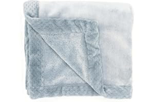 aden + anais Plush Blanket - Soft Minky Baby Blanket for Infants, Toddlers, Kids, for Crib, Stroller, Travel, Sea Blue
