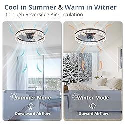 LEDIARY 20" Modern Ceiling Fans with Lights and