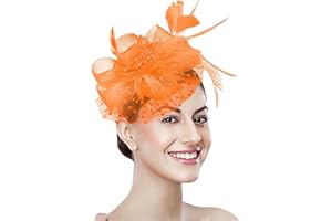 BNIKSOK Women Fascinator Tea Party Hat 20s 50s Wedding Cocktail Flower Mesh Feathers Hair Clip for Carnival Halloween