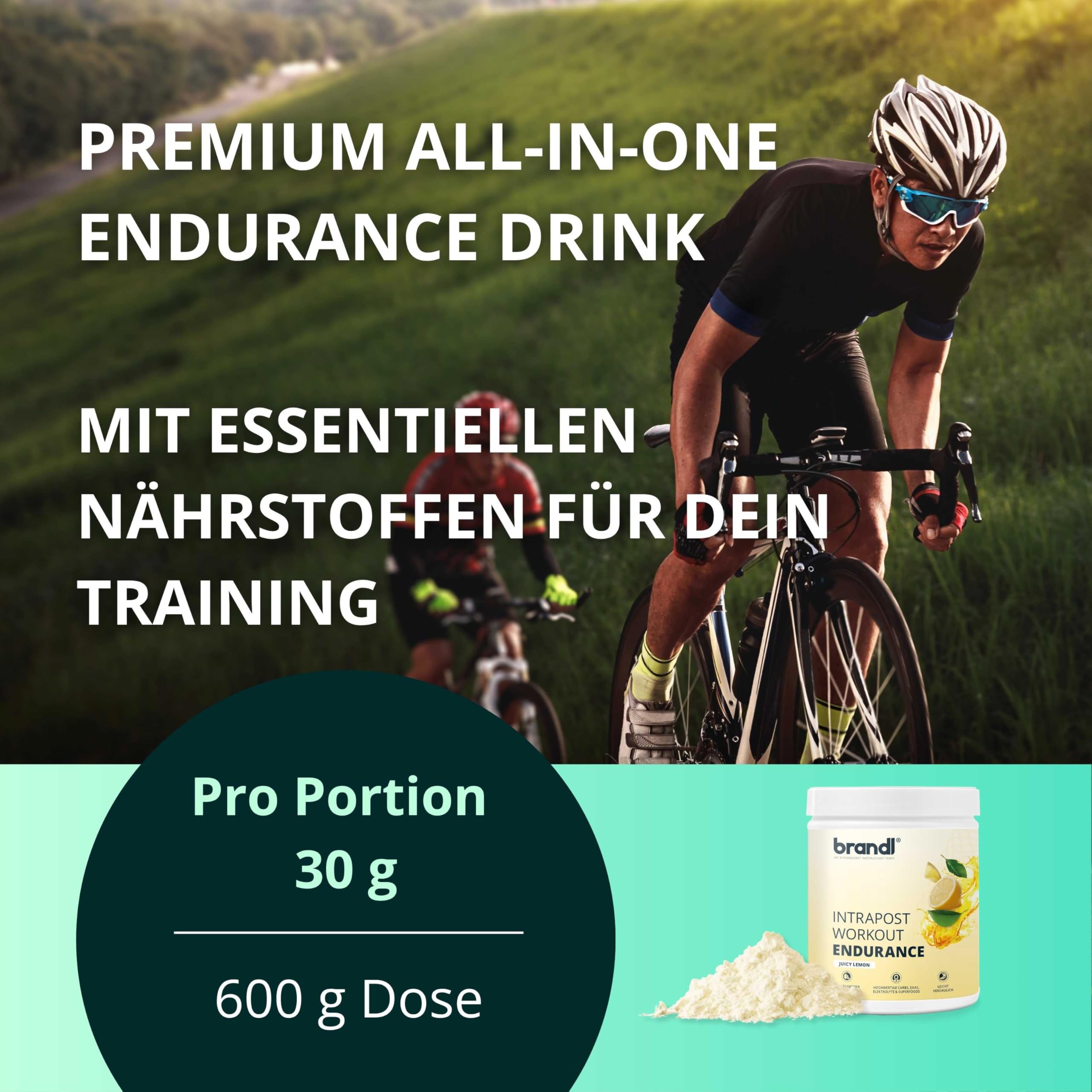 Sport all-in-One Ausdauer-Drink Endurance - hochwertige Elektrolyte, Kohlenhydrate, EAAs & Superfoods - Isotonisches Getränkepulver lemon by brandl® - Electrolytes, Eiweiß - 600g Intrapost Workout 2