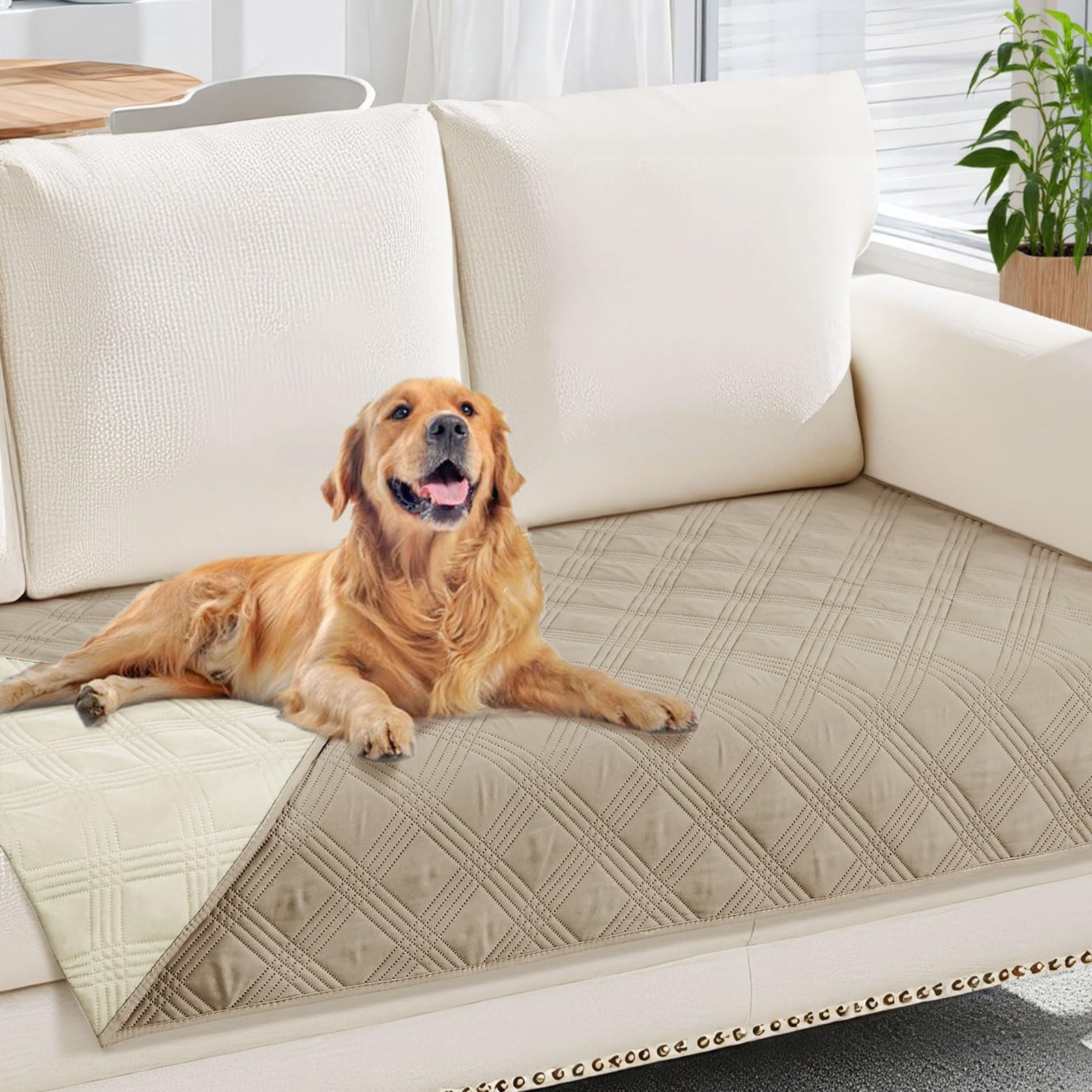 Photo 1 of hyha Waterproof Dog Blanket, Reversible Pet Bed Blanket, Soft Sofa Couch Cover for Dogs Washable, Waterproof Pet Couch Covers for Sofa Puppy Cats Furniture Protector(30"x70", Taupe/Beige)