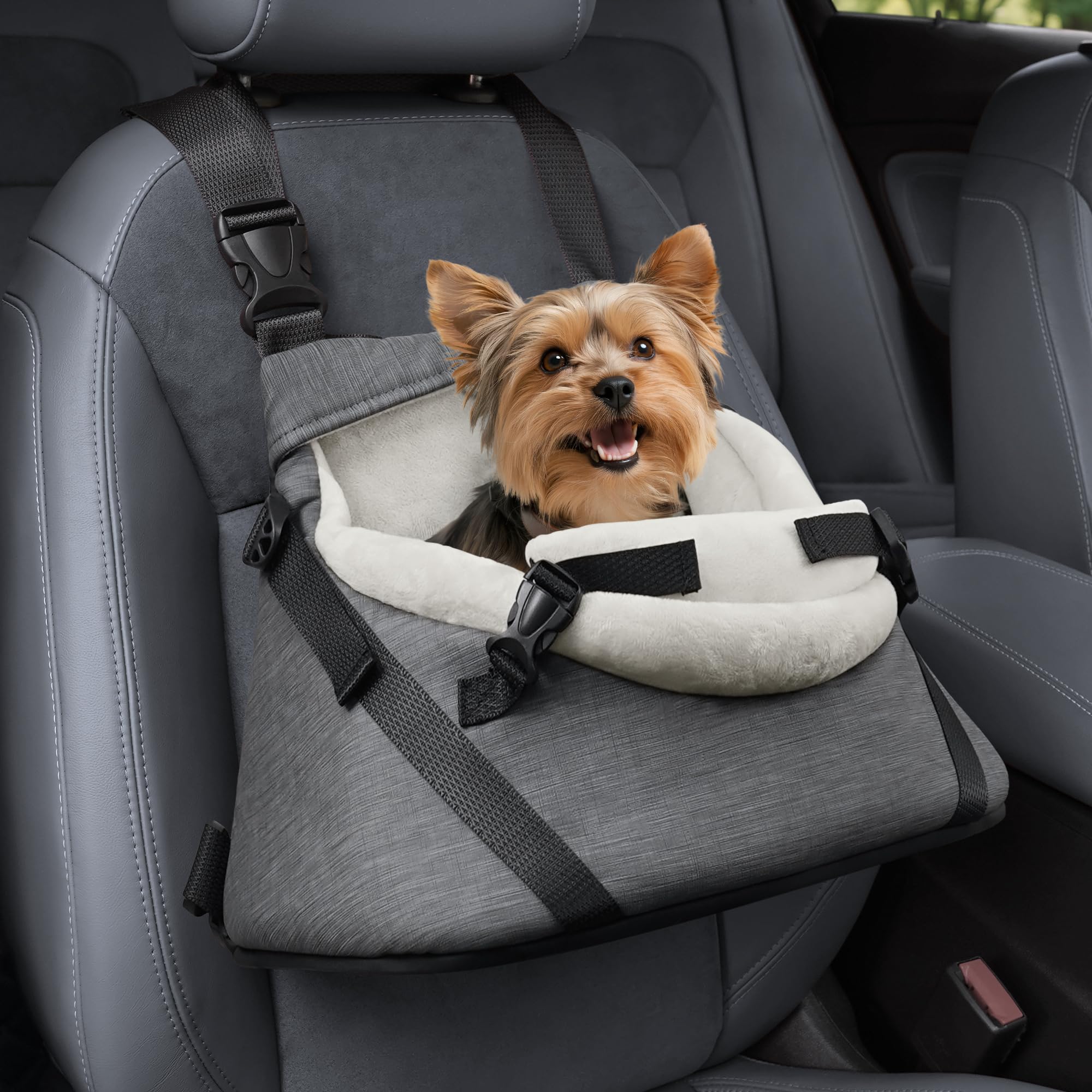 Photo 1 of WOYYHO Small Dog Car Seat Luxury PU Leather Dog Booster Seat for Small Dogs Under 8lbs with Safety Belt, Soft Flannel Lining, as Both a Dogs Car Seats and a Carrier, Waterproof, Adjustable Height