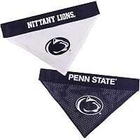 Amazon.com : TURNER SPORTS Penn State Nittany Lions 2023 22X17 Desk Calendar  (23998061487), Multicolor : Office Products