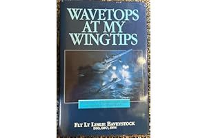 Wavetops at My Wingtips