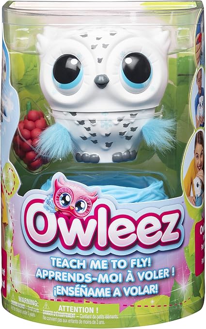 owleez teach me to fly