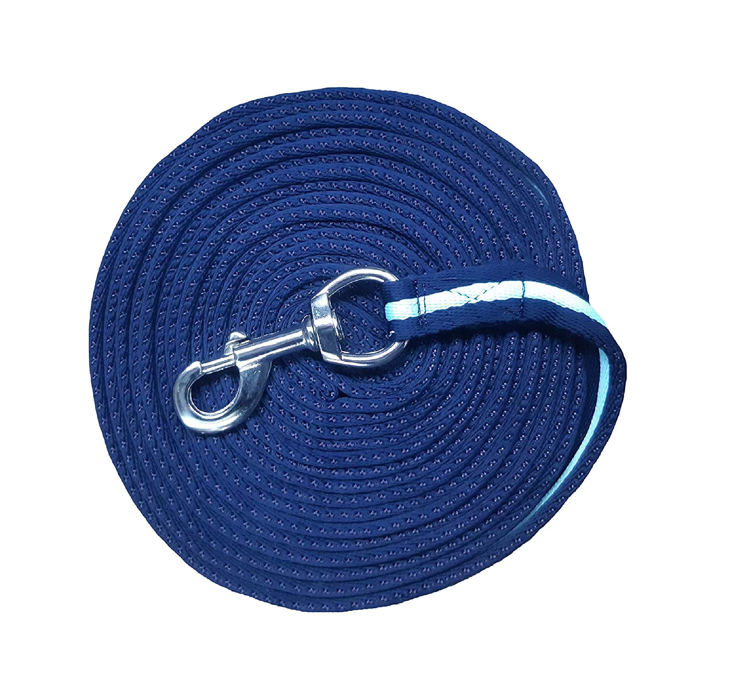 Avon Equine Nylon Dog and Horse Lunging Reins 1 inch Wide Soft Training Leash Aid Lung Line Lunging Rope (Navy / Baby Blue / Navy, 8 Mtr)