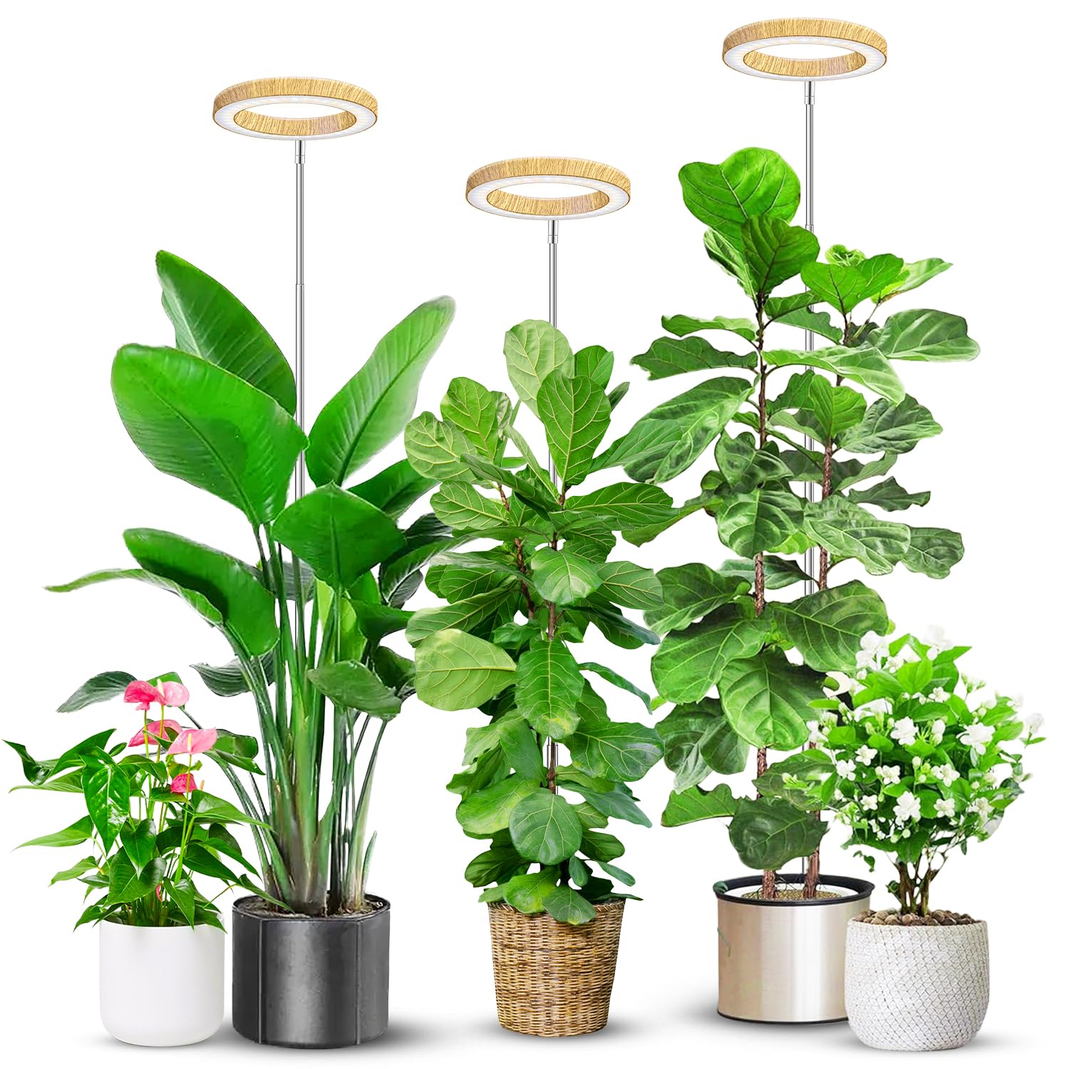 Aokrean 6.3in Plant Lights for Indoor Growing, Full Spectrum Faux Wood Grain Grow Light, 80 LED Growing Lamp with Height Adjustable 10"-65", 6/12/16H Timer, 3 Optional Spectrums, 5 Brightness, 3 Pack Image