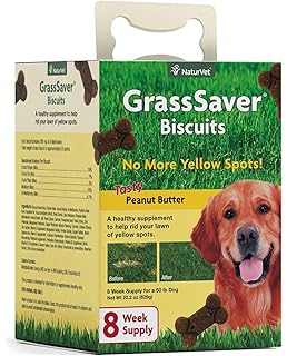 supplement for dog urine killing grass