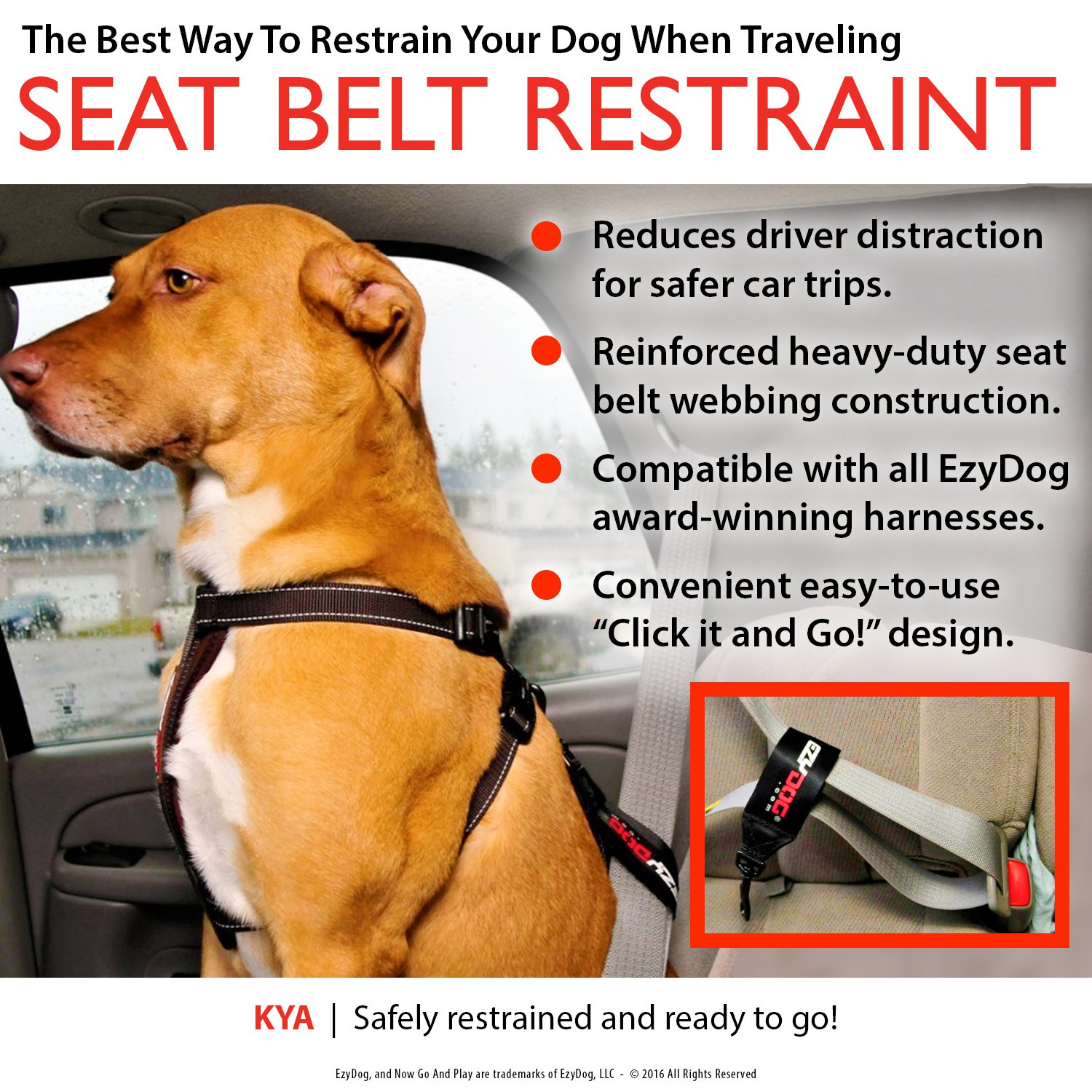 Best Dog Seat Belt change comin