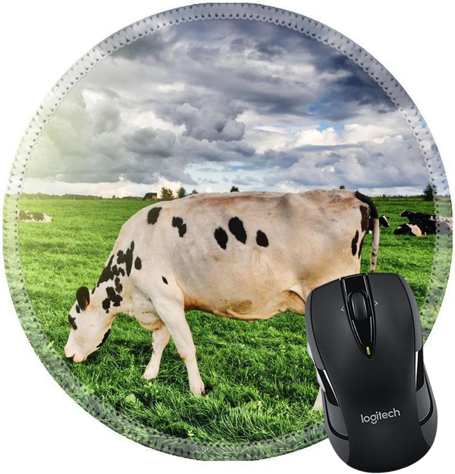 MSD Natural Rubber Mousepad IMAGE ID 36977630 Herd of cows grazing at summer green field