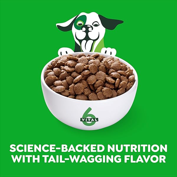 GREENIES SMART ESSENTIALS ADULT HIGH PROTEIN DRY DOG FOOD REAL CHICKEN & RICE RECIPE, 6 LB. BAG