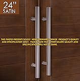 Contemporary entrance doors