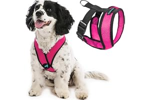 Gooby Comfort X Head in Harness - Flamingo Pink, Small - No Pull Dog Harness with Patented Choke-Free X Frame for Small to Medium Dogs Indoor/Outdoor Use