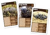 Cheatwell Games Plop Trumps Classic Card Game Animals Droppings view 9
