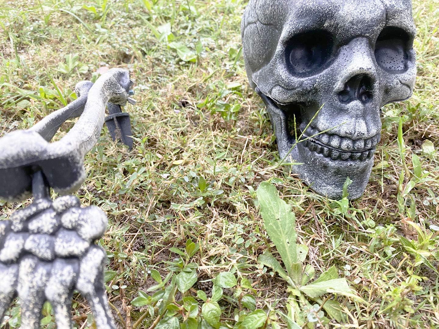 CHICHIC Realistic Looking Skeleton Stakes, Garden Graveyard Yard Lawn Stakes, Halloween Yard Decorations, Ground Breaker Skeleton for Best Outdoor Halloween Decorations Halloween Décor: Garden & Outdoor