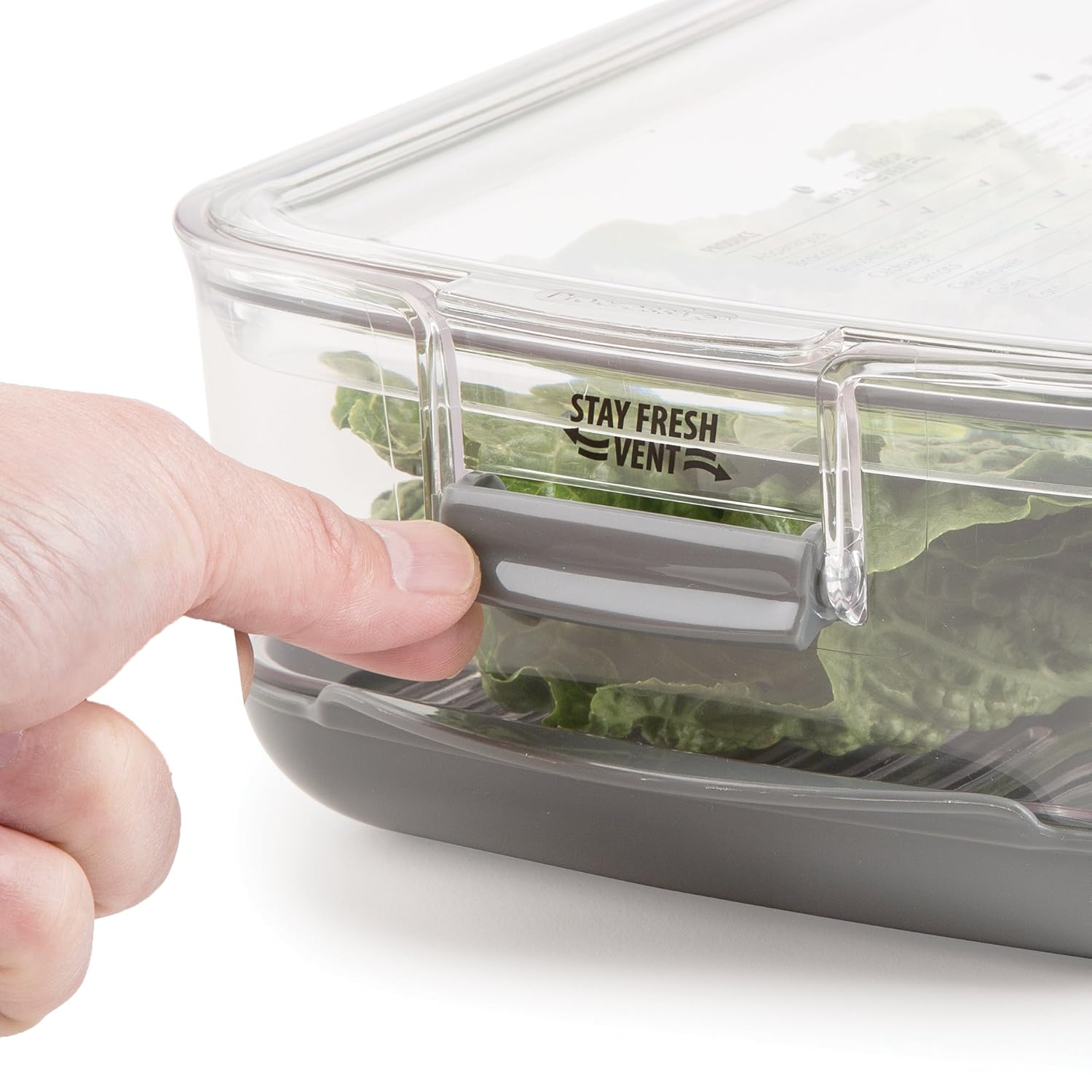 Factory Direct And Quick Delivery Prepworks By Progressive Produce Prokeeper Home Kitchen Low Prices Barco Art Br