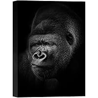 SIGNWIN Canvas Wall Art Headshot of an Endangered Mountain Gorilla Animals Wildlife Modern Art Traditional Portrait Dramatic Black and White for Living Room, Bedroom, Office - 12x18 inches