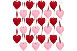 SUMERSHA 24 Pieces Felt Heart Hanging Ornament Valentines Day Heart Shaped Ornaments for Wedding Valentine Day Anniversary Christmas Party Decorations, Red and Pink