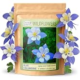 Blue Columbine Seeds for Planting, Aquilegia caerulea, 2,400 Seeds, 45 SqFt | Perennial Blue Columbine produces blue-white blooms that attract bees, butterflies and hummingbirds in sun or partial shade.