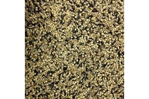 Finch & Friends Mix, Bird Seed for Goldfinches, Purple Finches and Pine Siskins