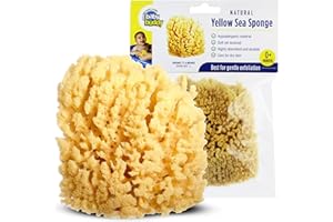 Baby Buddy Natural Yellow Sea Sponge, Newborn Bath Time Essential, Soft and Gentle for Tender Skin, Hypoallergenic and Biodeg