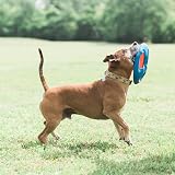 Chuckit! Fetch Flight - 1 Piece Dog Toy EZ Grip Visible Colors view 4