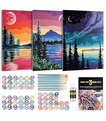Kit De Pintura De Paisaje Por Números Para Adultos, 16 X 20