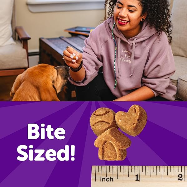 WELLNESS CRUNCHY PUPPY BITES DOG TRAINING TREATS, NATURAL, GRAIN FREE, CHICKEN AND CARROT RECIPE, 6 OZ BAG