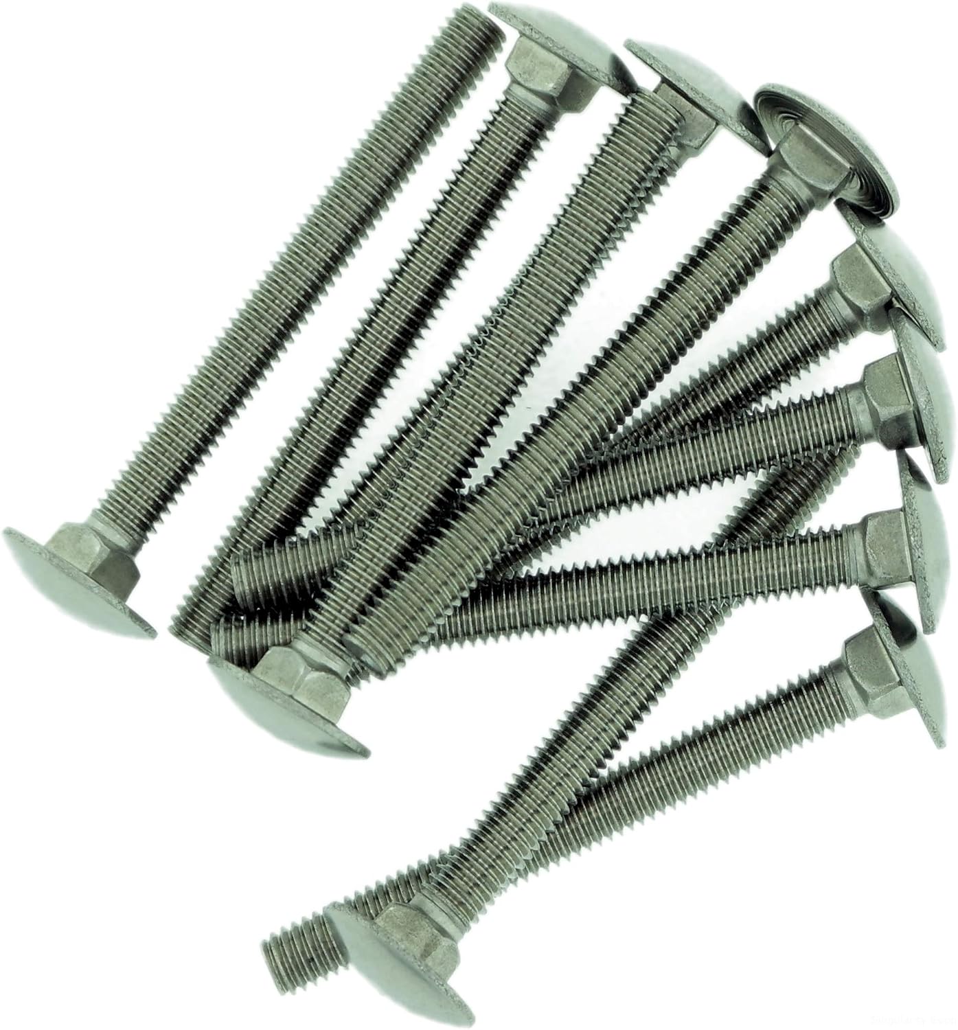 M6 (6mm x 60mm) Cup Square Carriage Bolt (Fully Threaded) - Stainless Steel (A2) (Pack of 10), M6x60 - A2 (10) - Image 3