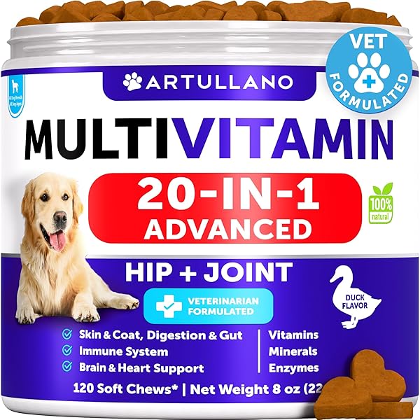 DOG MULTIVITAMIN CHEWABLE WITH GLUCOSAMINE 20 IN 1 – DOG VITAMINS AND SUPPLEMENTS – SENIOR & PUPPY MULTIVITAMIN FOR DOGS – PET JOINT SUPPORT HEALTH – IMMUNITY, MOBILITY, GUT SKIN – 120 CHEWS