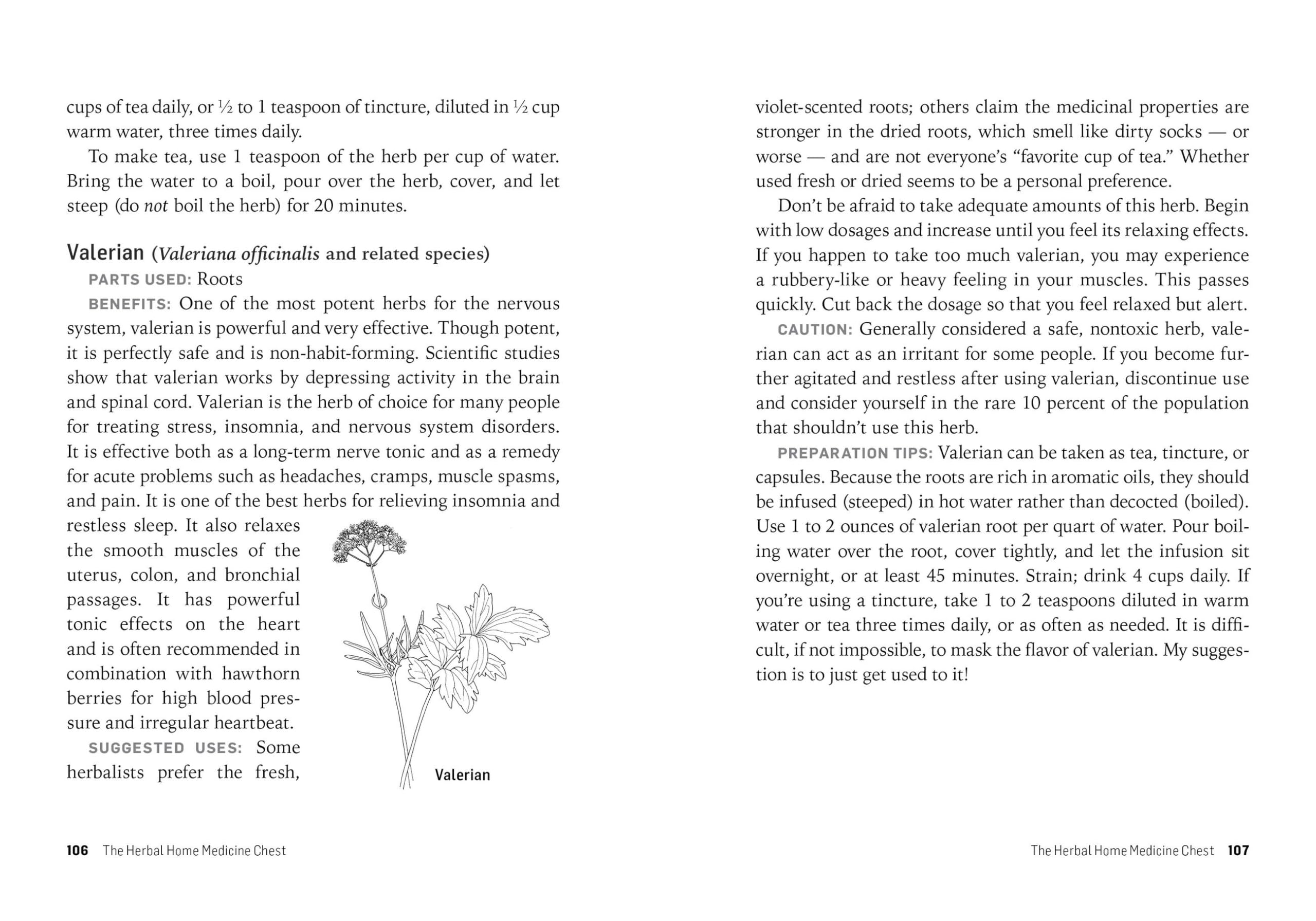 Herbs for Stress & Anxiety: How to Make and Use Herbal Remedies to Strengthen the Nervous System. A Storey BASICS® Title