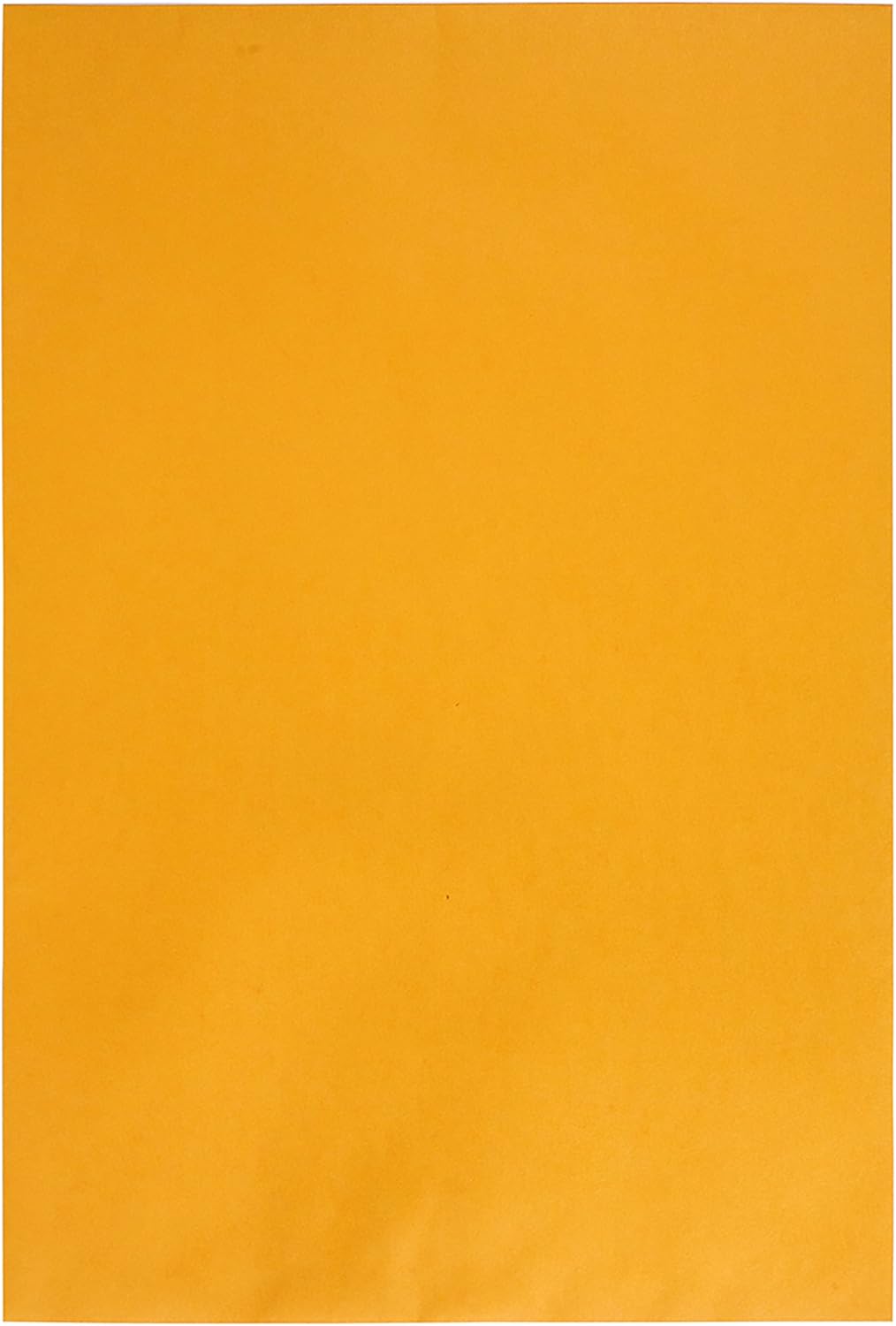 Quality Park Jumbo Kraft Envelopes, 12-1/2 x 18-1/2, Ungummed Catalog Envelopes for Storing and Organizing, 28 lb Kraft Paper, 25 per Box (QUA42353), Light Brown : Large Format Envelopes : Office Products