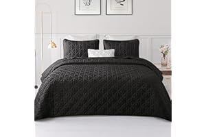 Exclusivo Mezcla Queen Quilt Bedding Set for All Seasons, Lightweight Soft Black Quilts Queen Size Bedspreads Coverlets Bed Cover with Geometric Stitched Pattern, (1 Quilt, 2 Pillow Shams)