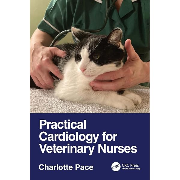 Amazon.com: Current Veterinary Therapy: Food Animal Practice