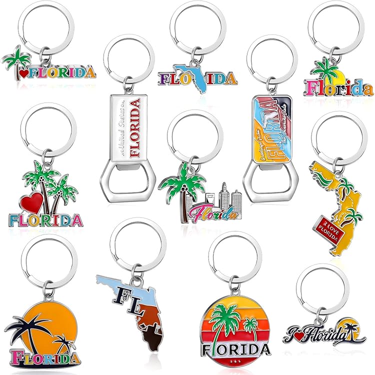 Amazon.com: TSY TOOL 12 Pack of Florida State Keychain Metal Ring