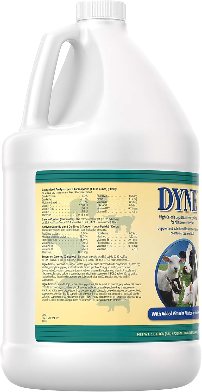 Dyne High Calorie/Weight Gainer Liquid for Livestock, 1 Gallon: Pet Supplies