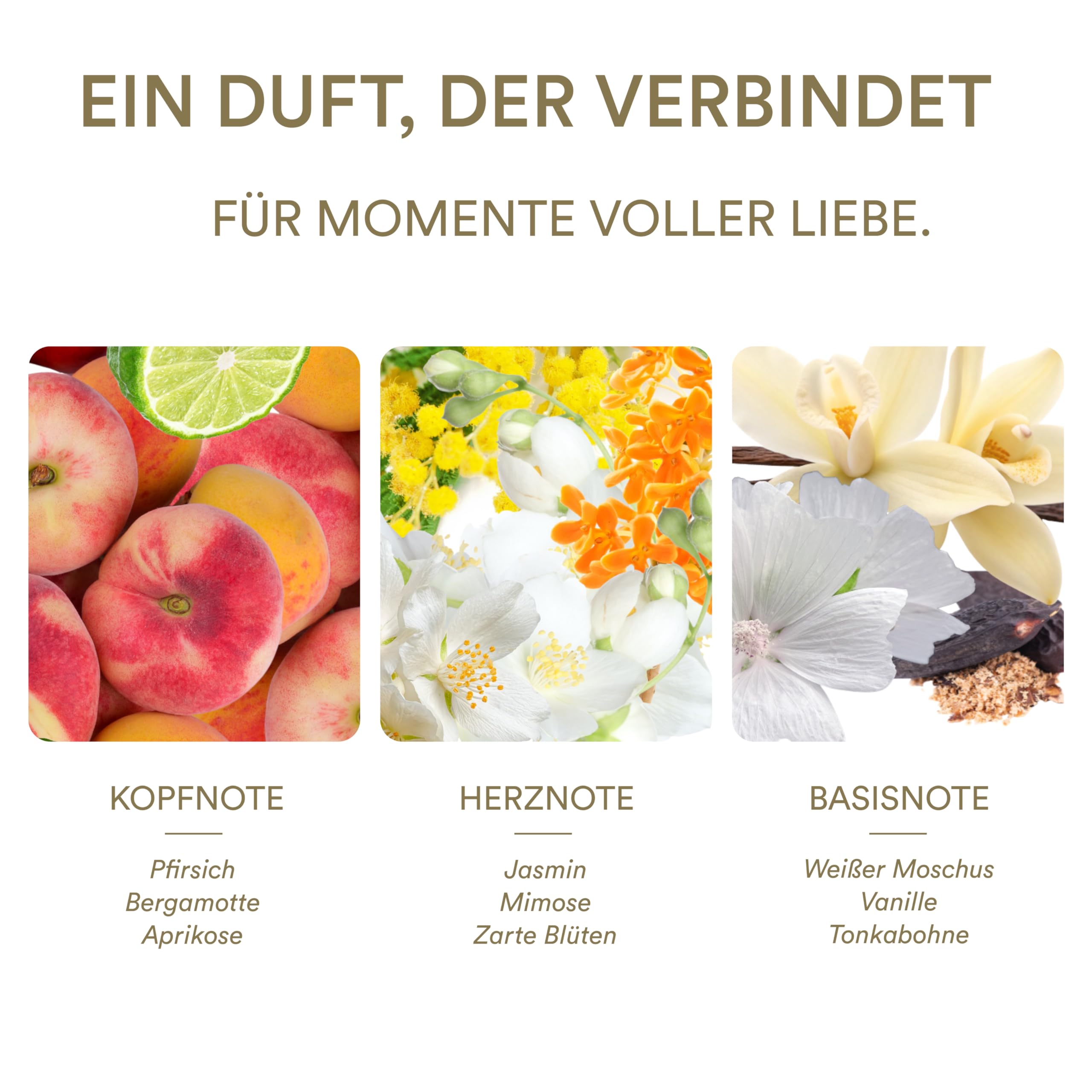 WEDDING LOVE Hochzeitsparfum Damen 75 ml - Veganes Eau de Parfum mit Pfirsich, Aprikose & Vanille - Brautparfüm für Braut & Brautjungfer - Geschenk zur Hochzeit, Verlobung & zum Hochzeitstag 3