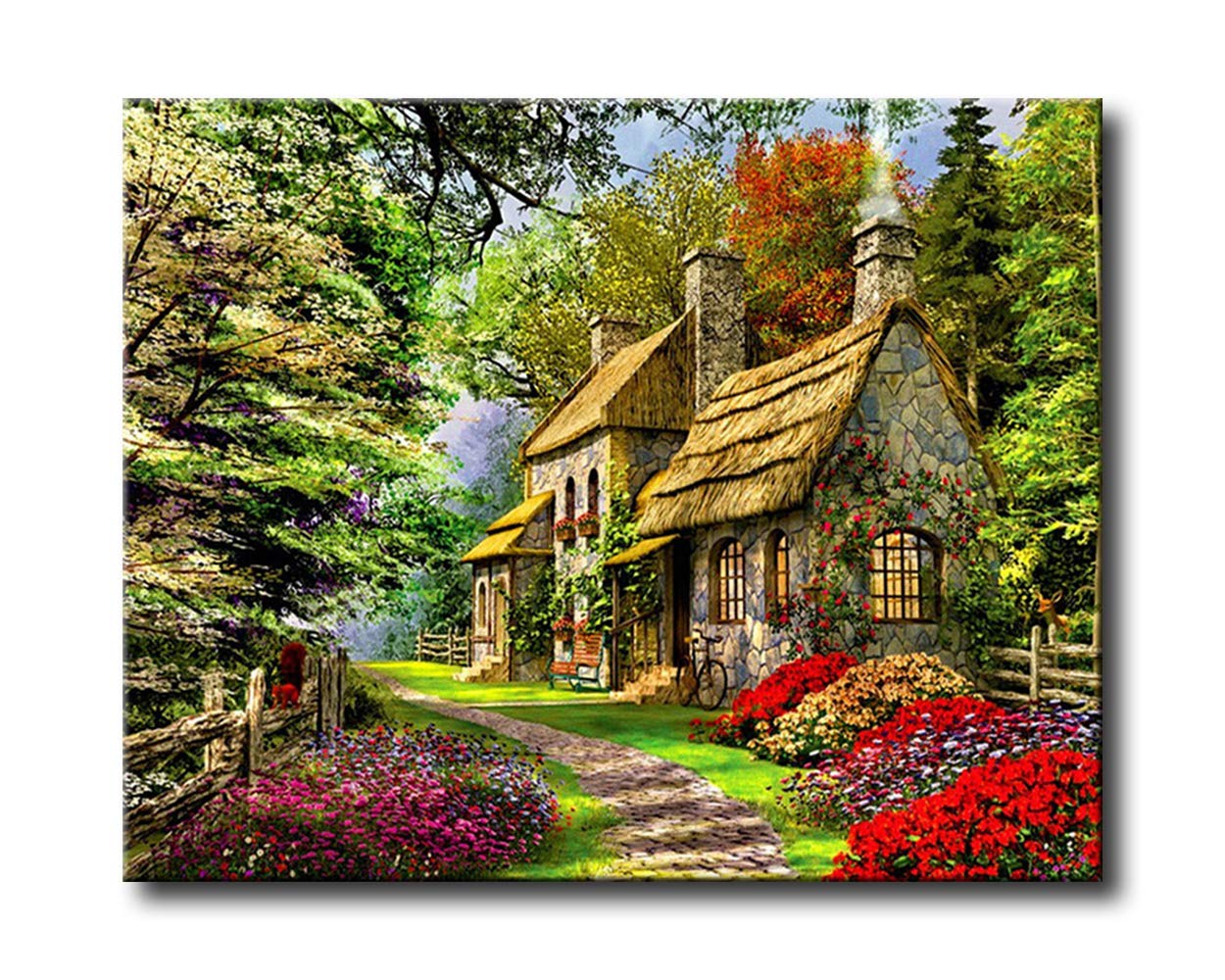 Shukqueen Paint by Number, DIY Oil Painting for Adults, Beginner's, 16X20 Inch, Frameless