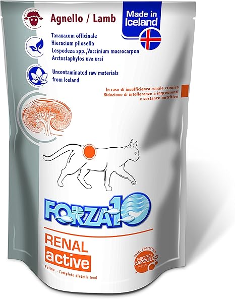 Forza10 Nourriture Humide Pour Chat Comme Soutien De La Fonction Renale 1 Paquet 1 Boite X 12 Pieces Amazon Fr Animalerie