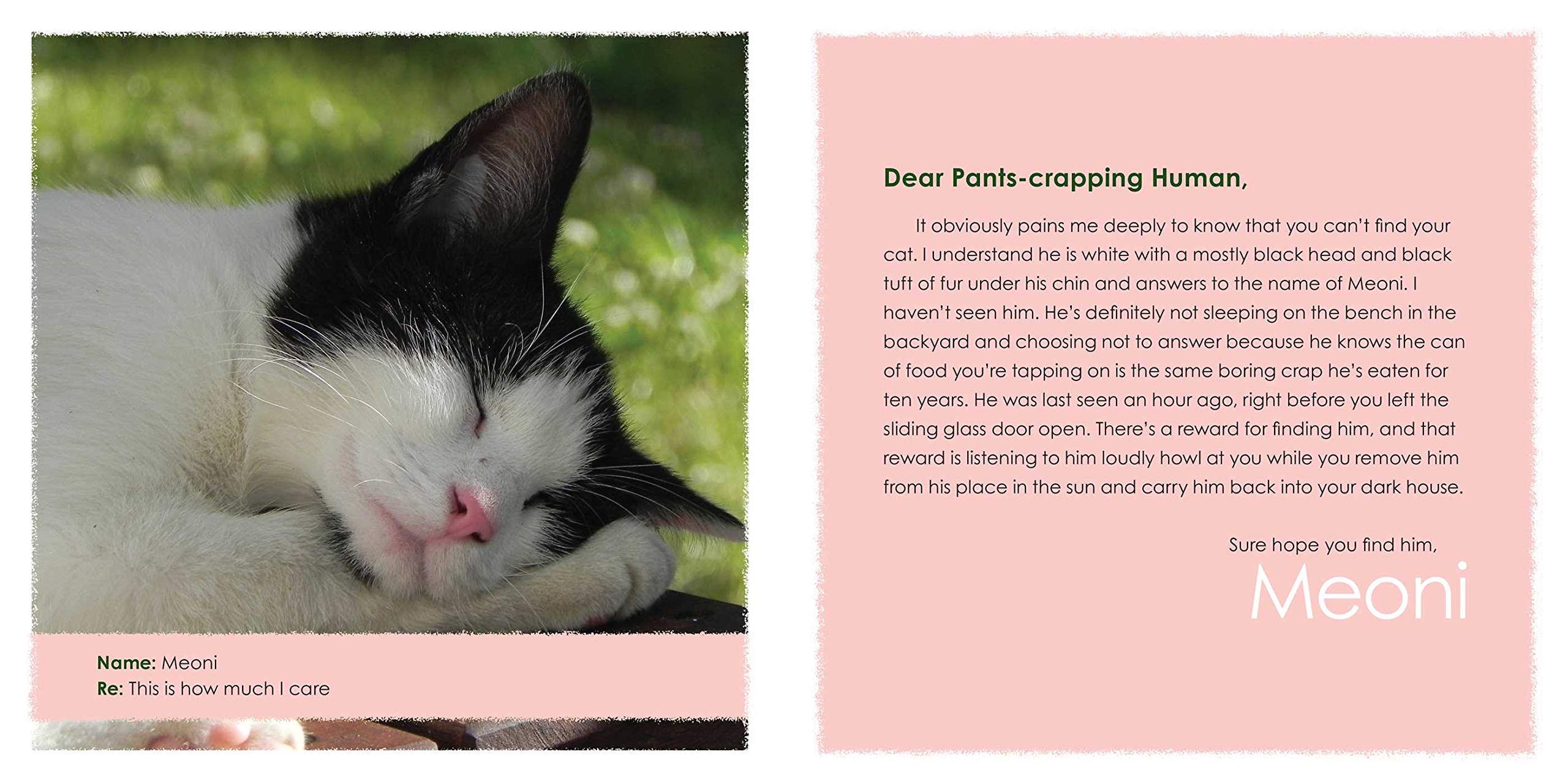 Sorry I Barfed On Your Bed Again And More Heartwarming Letters From Kitty Amazon De Greenberg Jeremy Fremdsprachige Bucher