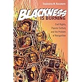 Blackness Is Burning: Civil Rights, Popular Culture, and the Problem of Recognition (Contemporary Approaches to Film and Media Studies)