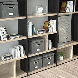 Forlogic File Organizer Box with Lid, Collapsible