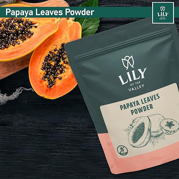 LILY OF THE VALLEY GREEN PAPAYA POWDER – NATURALLY RICH IN PAPAYA ENZYM – PAPAYA EXTRACTS FOR SMOOTHIES & SHAKES – VEGAN & GLUTEN-FREE – PACKED IN RESEALABLE POUCH (16OZ, 453G)