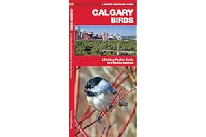 Calgary Birds