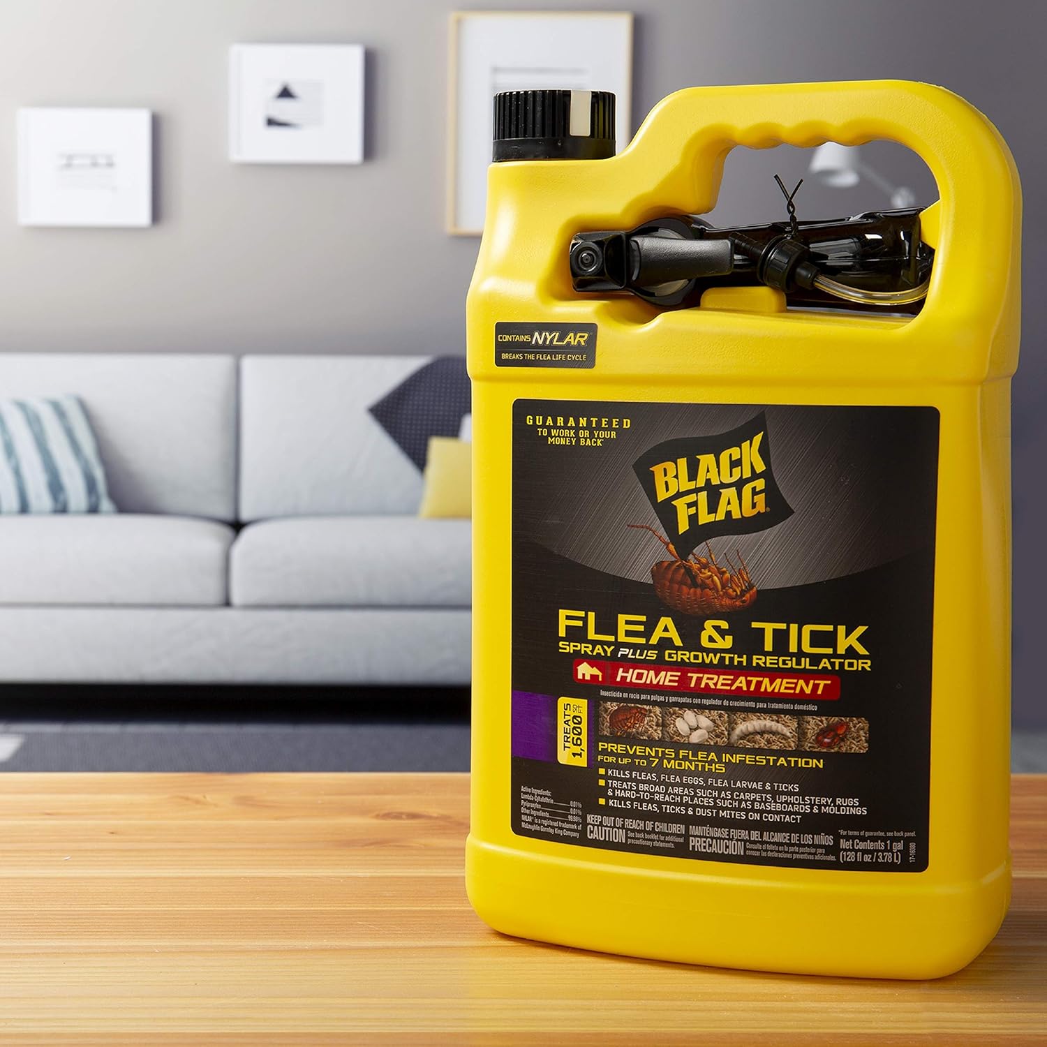 Amazon Com Black Flag Flea Tick Killer Home Treatment With